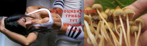 а пвп мука Анива