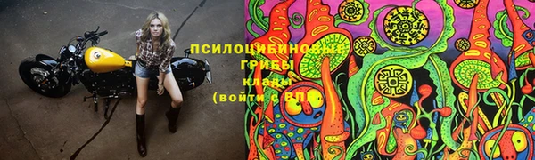 ПСИЛОЦИБИНОВЫЕ ГРИБЫ Анжеро-Судженск