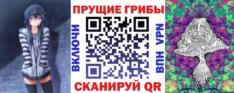 купить наркотики цена  kraken ссылки  Псилоцибиновые грибы Cubensis  Правдинск 